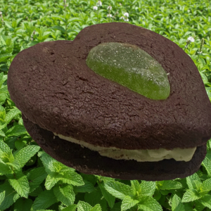 Chocolate-Mint Kisses (4)