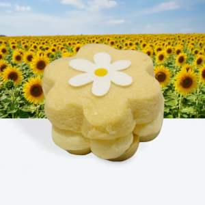 Golden Wattle Custard Creams (8)